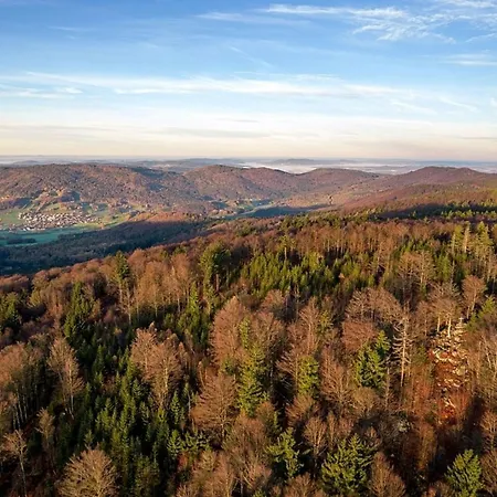 Nr 14a2, Hagbügerl, Bayr Wald Waldmünchen