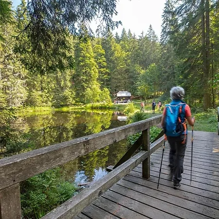 Nr 14a2, Hagbügerl, Bayr Wald Ferienhaus *